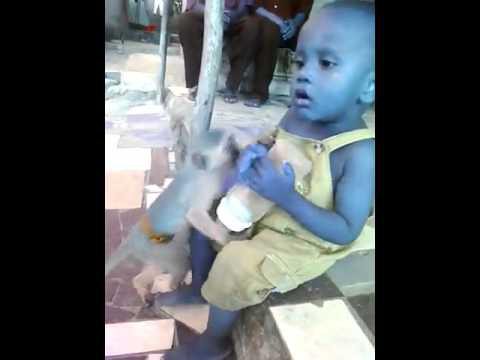 Обезянка тоже хочет пить