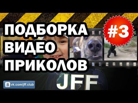 Подборка видео приколов 