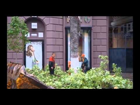 На волоске от гибели 