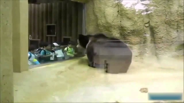 Медведь танцует с детьми