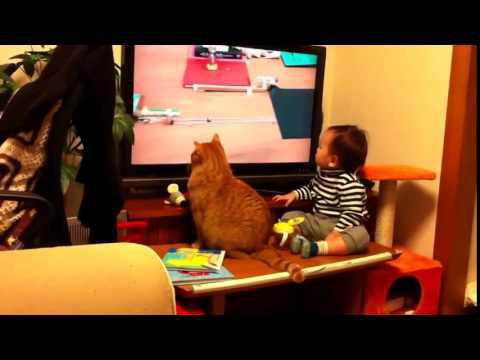  Малыш и кот смотрят телевизор
