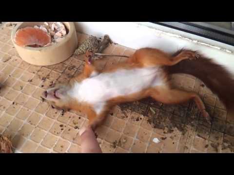 С первым апреля!