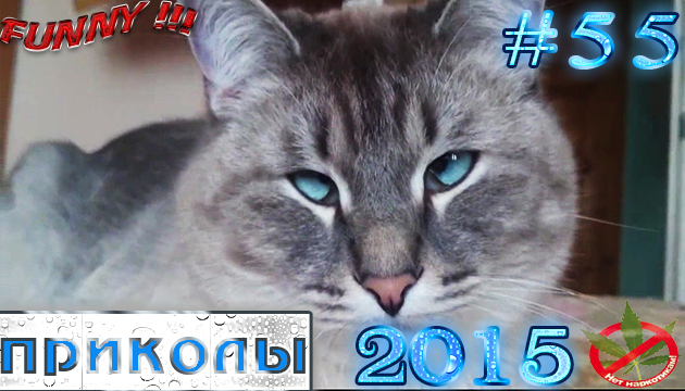 Отборные приколы 2 раза в неделю!