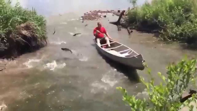 Простая рыбалка