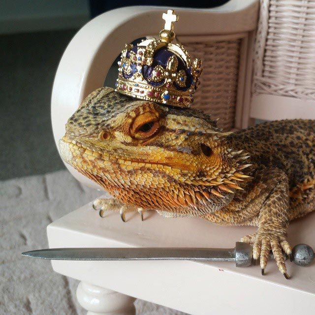 Гифки дня