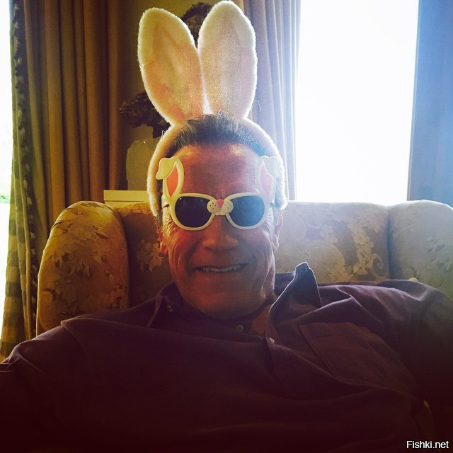 Арнольд Шварценеггер своим поздравлением с католической пасхой переплюнул всех