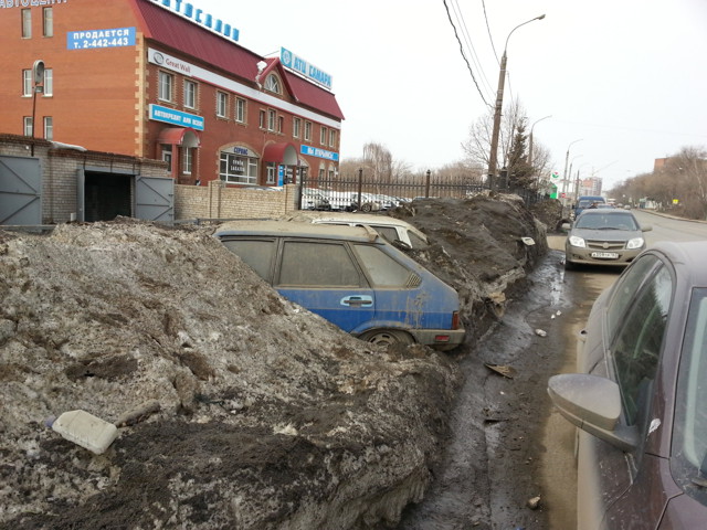 Автоподснежники