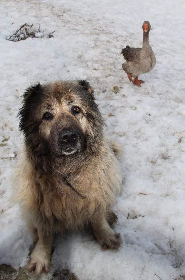 Рута и Мартина. Невероятная история друзей