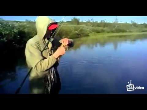  Идеальная рыбалка