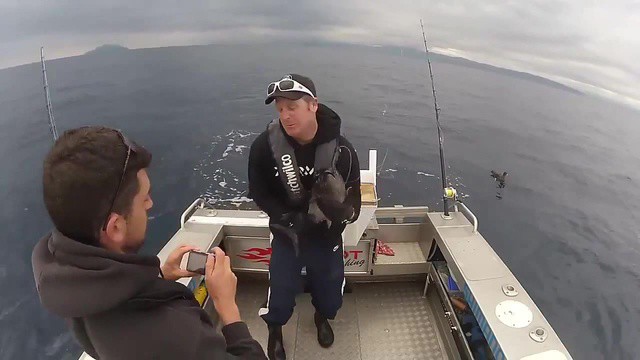 Подборка Кубиков