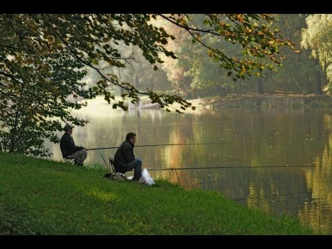 Идеальная рыбалка 