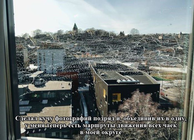 Фото подборка 