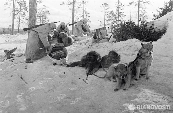 Редкие фотографии Великой Отечественной войны