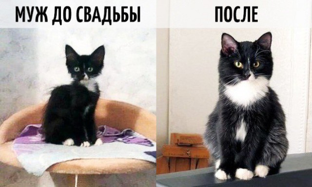 9 фотографий о том, как меняется жизнь после свадьбы