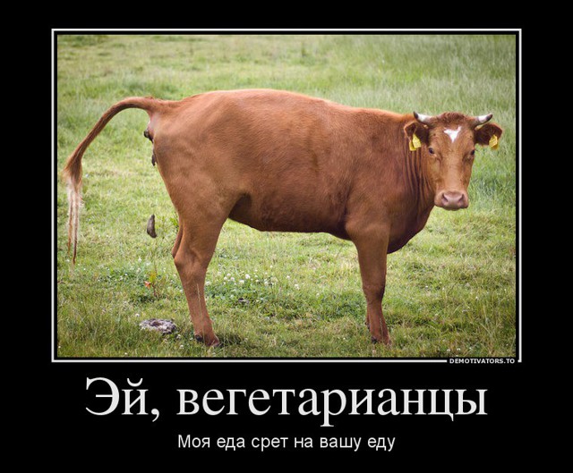 Есть или не есть? Или мое отношение к веганам