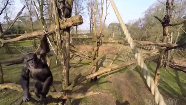 Лучшие фейлы прошедшей недели