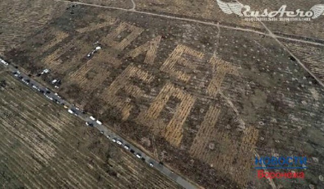 Воронежцы высадили 12 тысяч сосен в виде надписи «70 лет Победы»