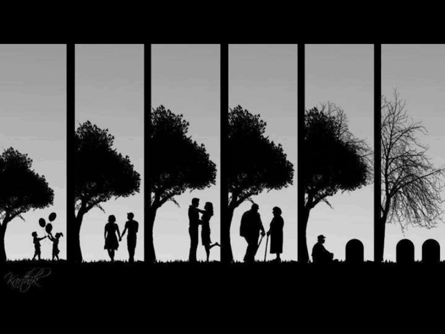 Жизнь в 100 словах