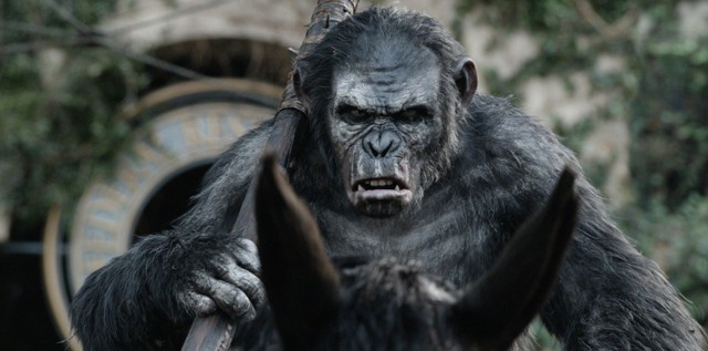 Обезьяны эволюционируют в людей прямо сейчас