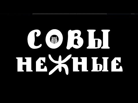 Всем любителям сов