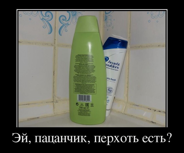 Подборка  демотиваторов