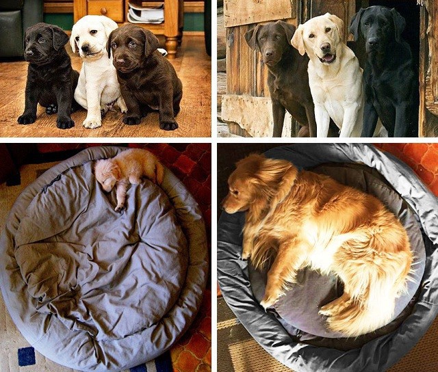   Как же быстро они растут