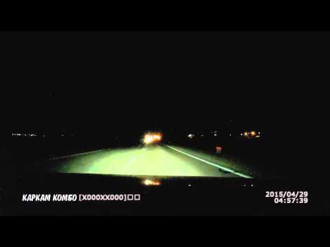 Осторожно Лоси на дороге 