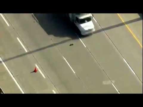 Утка с утятами перебегают через дорогу