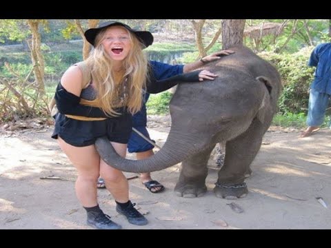 Смешное видео