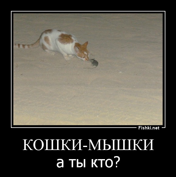 КОШКИ-МЫШКИ