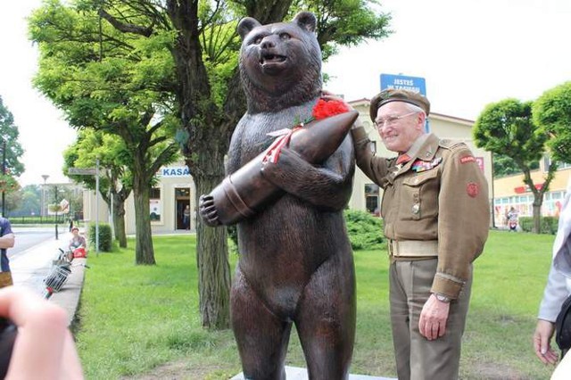 Медведь-солдат