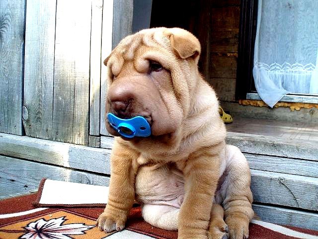 Я ещё совсем маленький.