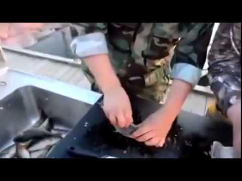 Легкая чистка рыбы