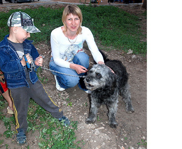 Бездомный пес спас ребенка от смерти