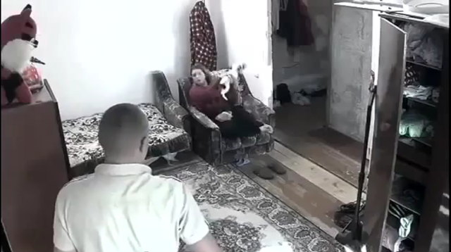 Кот вообще не ожидал 