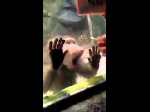  Успех был так близок