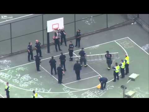  Необычное полицейское задержание 