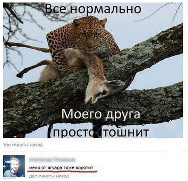 Смешные комментарии из социальных сетей 07.05.15