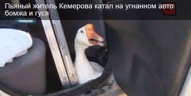 Подборка автоприколов. Часть 220