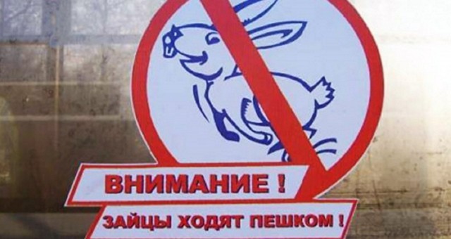 Подборка интересных фактов