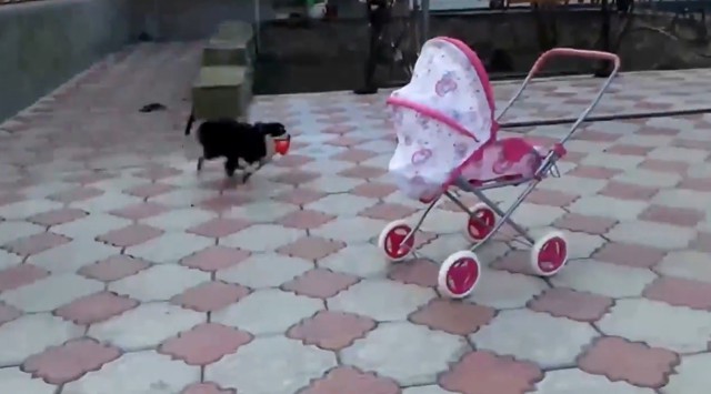 А ты попробуй забери