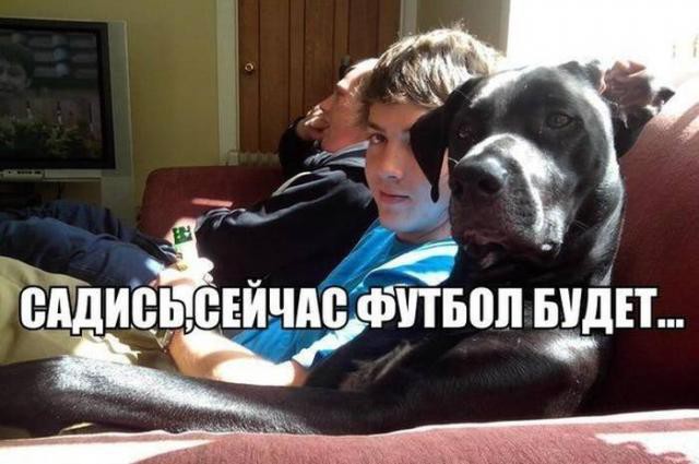 Прикольные фото