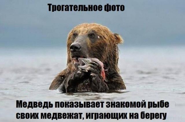 Позитив в картинках