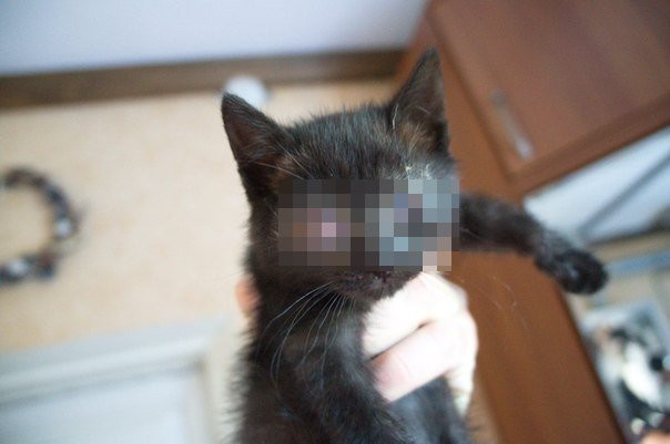 Она всегда была весёлая