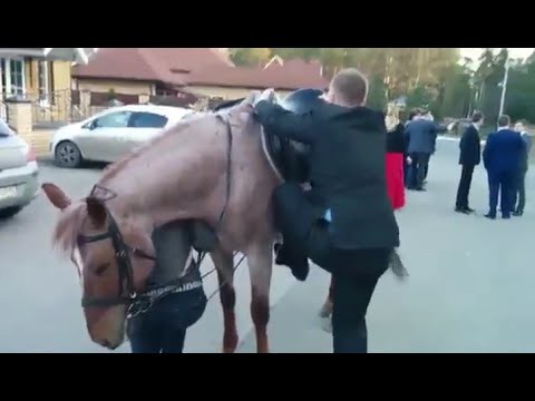  Ковбой