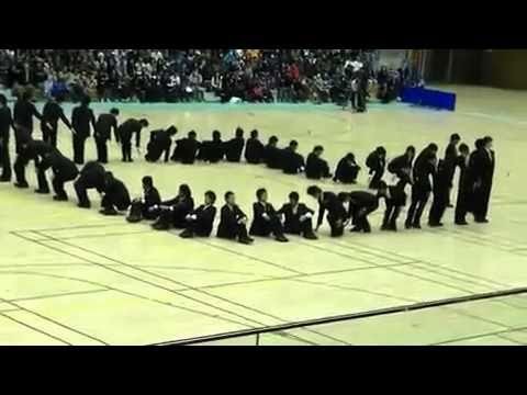 Что может делать коллектив в 40 человек