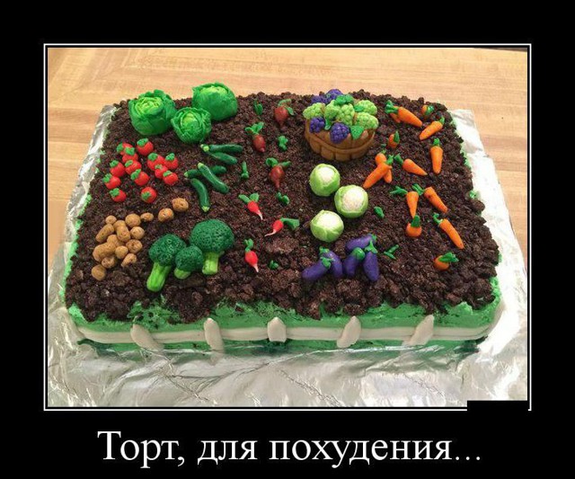 Пятничная подборка демотиваторов