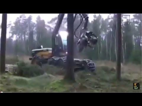 Нашим до такого далеко  