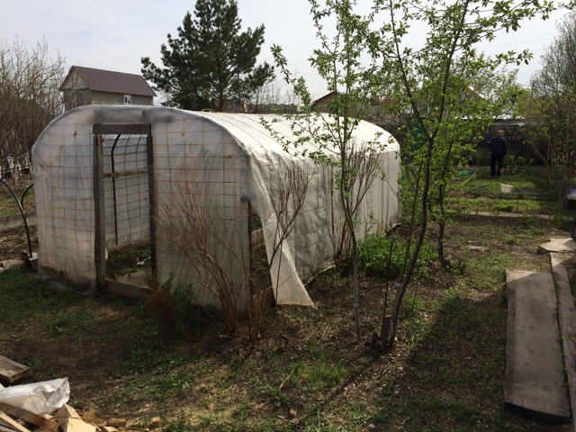 Как мы с братом теплицу рукожопили