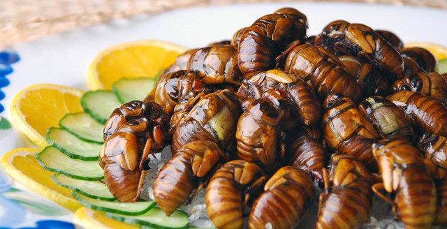 Самые экзотические блюда Земли, которые внушают ужас